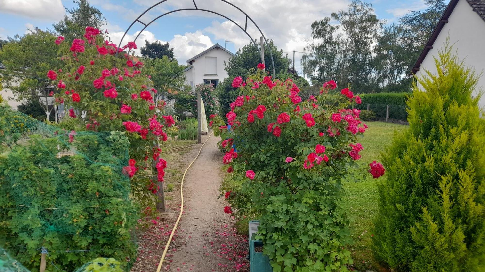 Bed and Breakfast Les Abelias Hauterive  Экстерьер фото